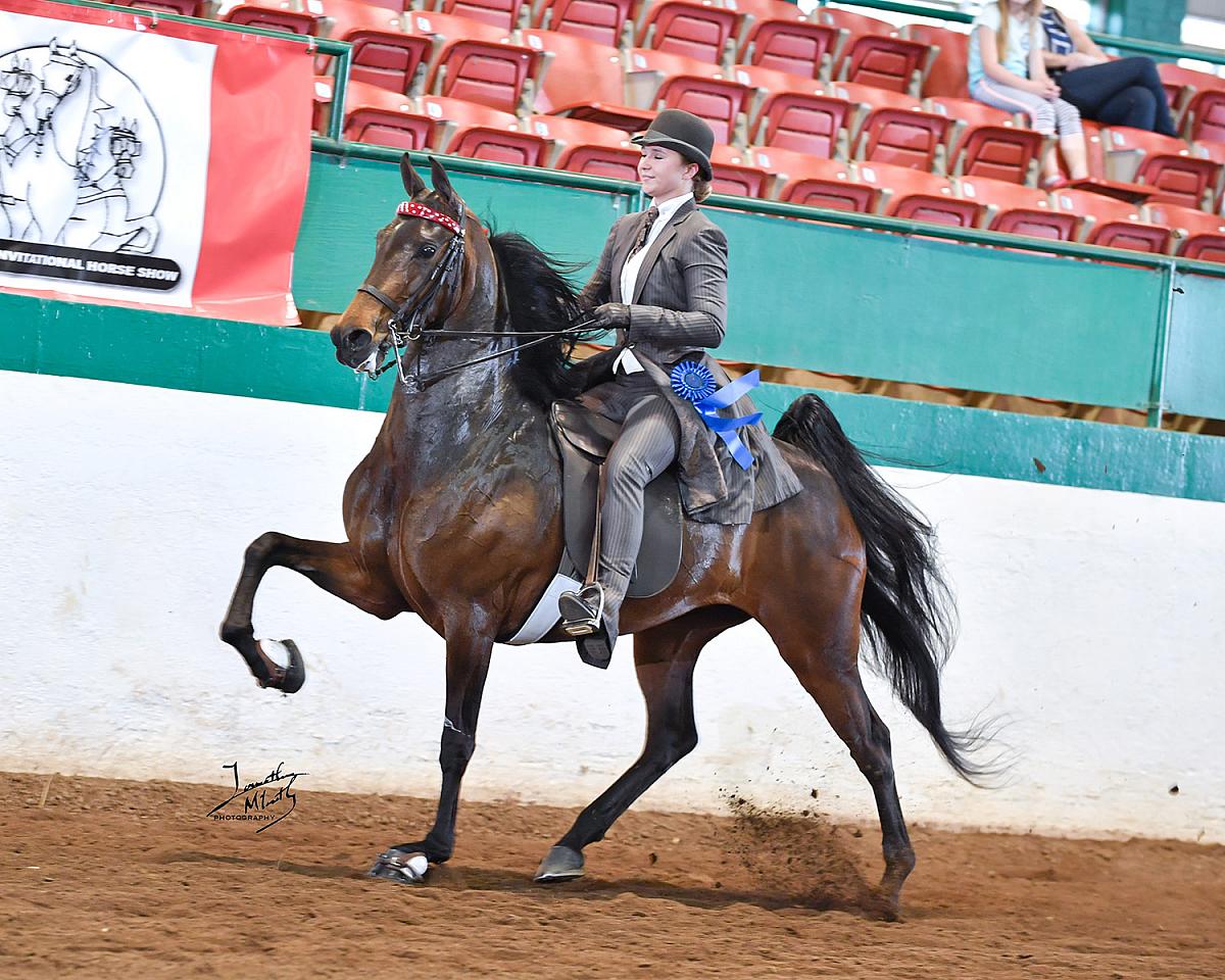 2017 Raleigh Invitational Horse Show Proofs 2017 Horse Shows