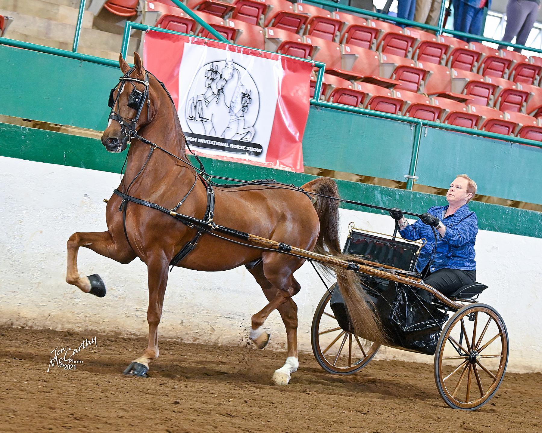 2021 Raleigh Invitational Horse Show Proofs 2021 Horse Shows