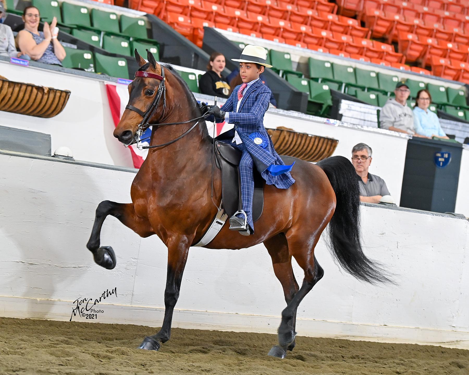 2021 Connecticut Open Horse Show Horse Show Proofs 2021