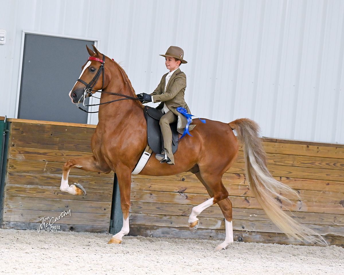 2022 Summer's End Horse Show Horse Show Proofs 2022 Horse Shows