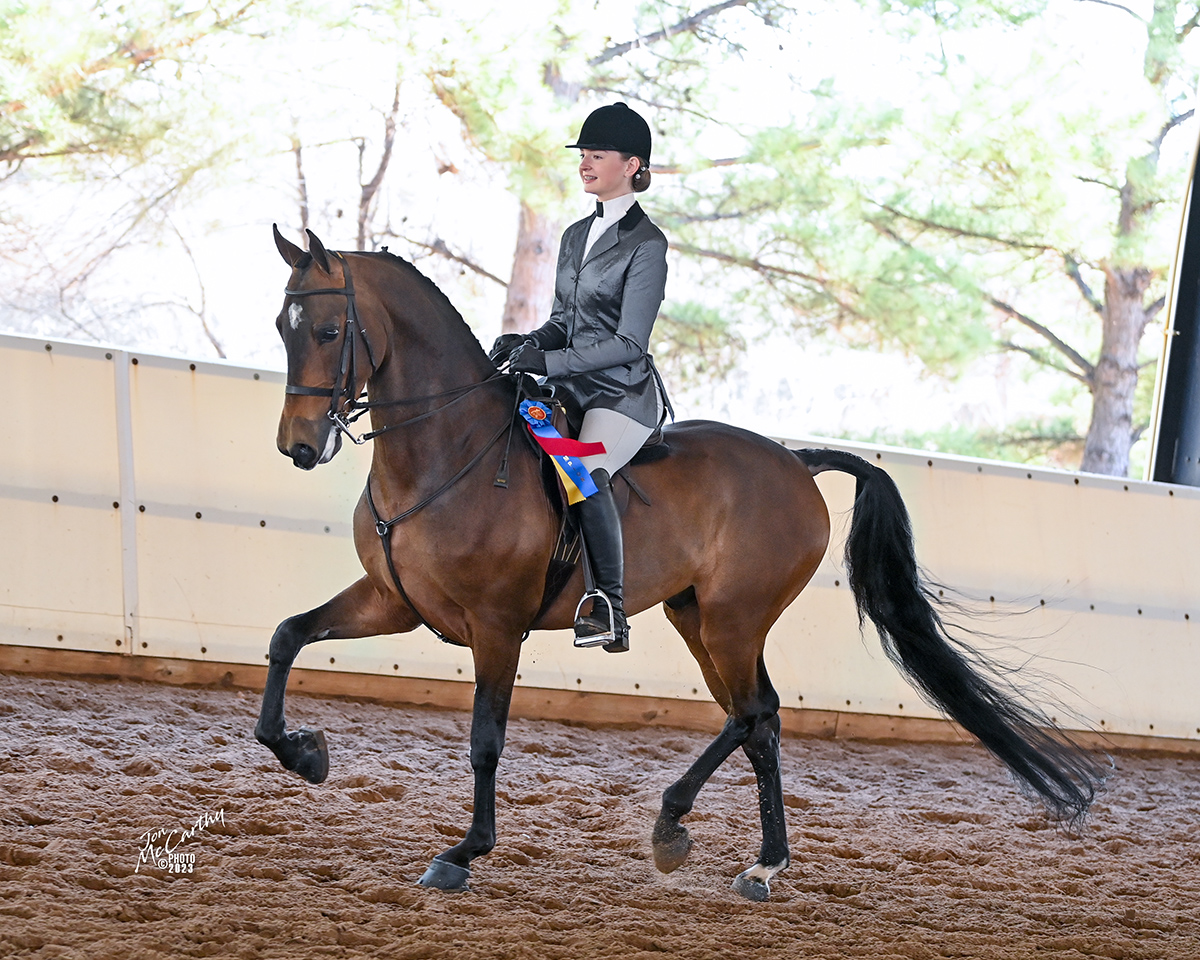 2023 City Kickoff Horse Show SATURDAY MARCH 4, 2023 BEFORE LUNCH